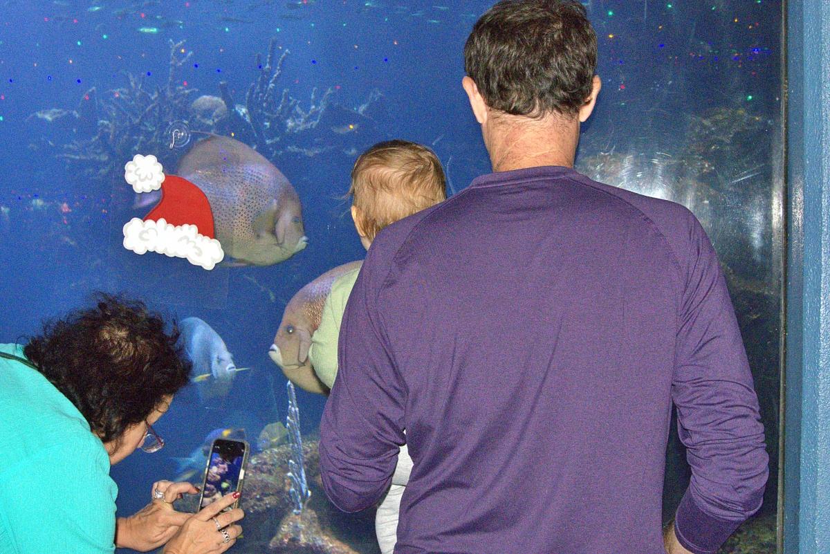 Party attendees looking at Mortimer the moray eel