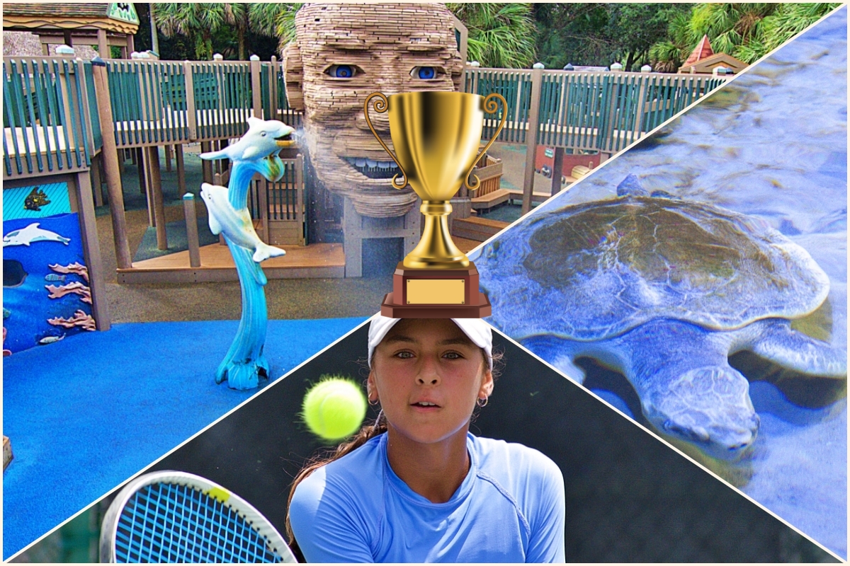 A collage showing the Science Playground, tennis and a Gumbo Limbo turtle